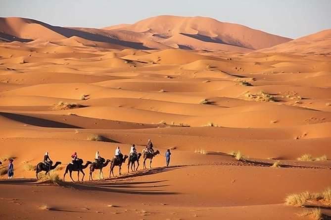 Merzouga Camel Trekking Camp Exteriör bild